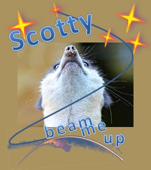 Scotty beam me up